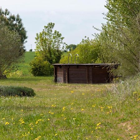 La Decouverte, Jacuzzi, Sauna, Et Terrasse Avec Vue Sur Lac A La Campagne Entre Toulouse Et Auch Catonvielle 외부 사진