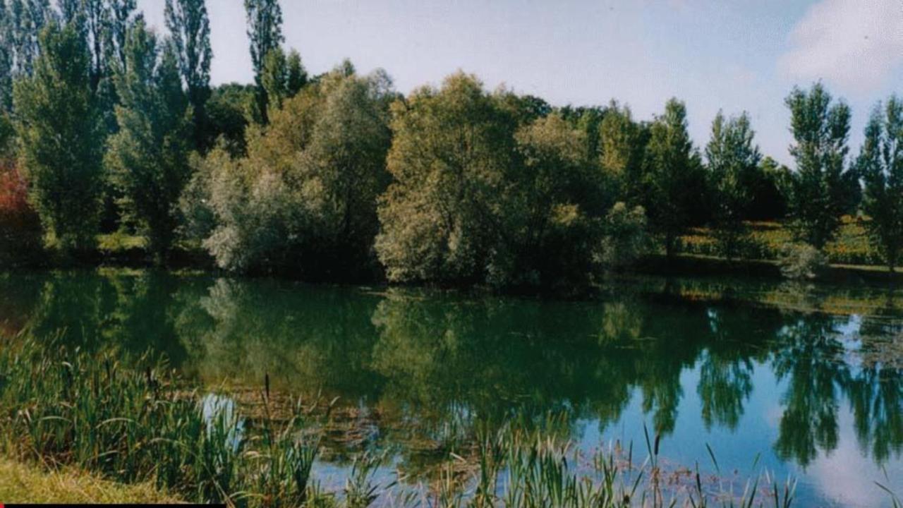 La Decouverte, Jacuzzi, Sauna, Et Terrasse Avec Vue Sur Lac A La Campagne Entre Toulouse Et Auch Catonvielle 외부 사진