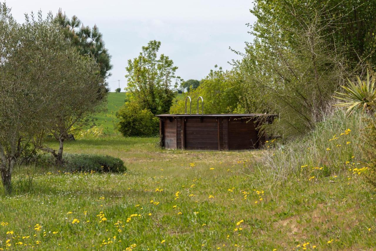 La Decouverte, Jacuzzi, Sauna, Et Terrasse Avec Vue Sur Lac A La Campagne Entre Toulouse Et Auch Catonvielle 외부 사진